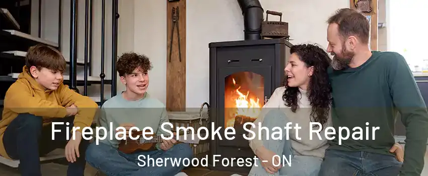  Fireplace Smoke Shaft Repair Sherwood Forest - ON