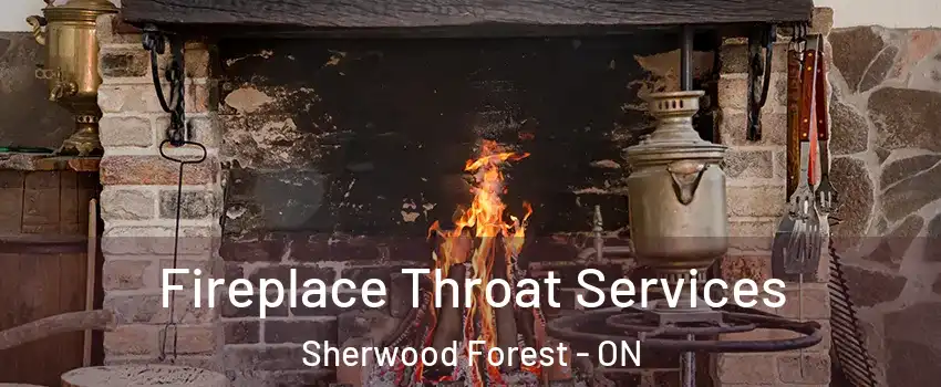  Fireplace Throat Services Sherwood Forest - ON