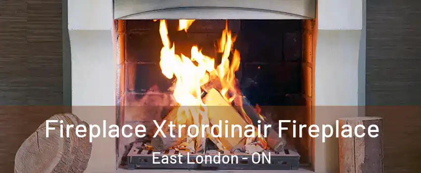  Fireplace Xtrordinair Fireplace East London - ON