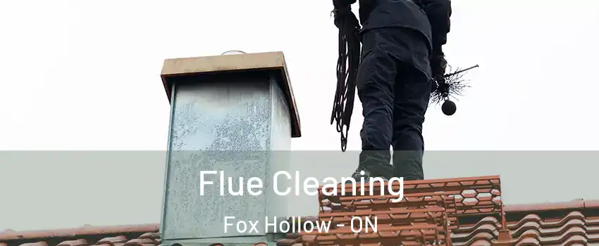  Flue Cleaning Fox Hollow - ON