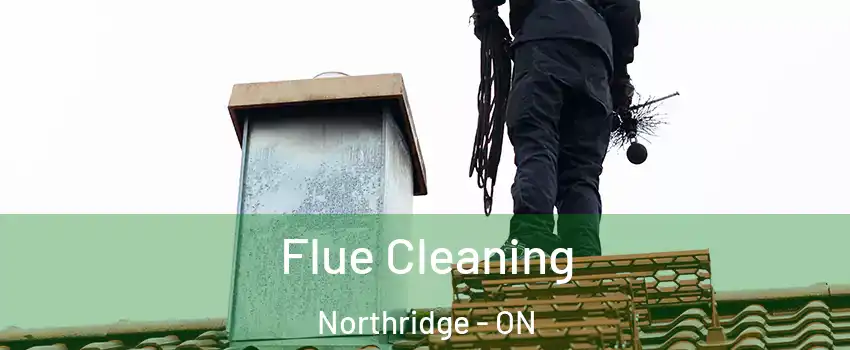  Flue Cleaning Northridge - ON