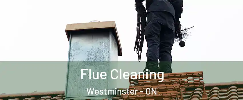  Flue Cleaning Westminster - ON