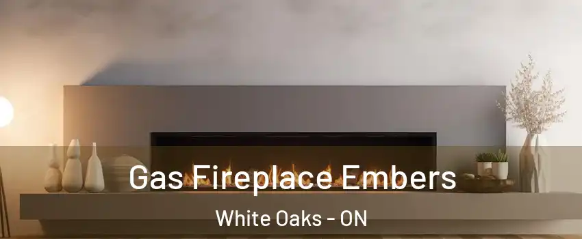  Gas Fireplace Embers White Oaks - ON