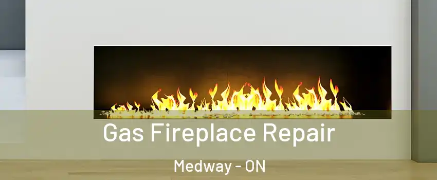  Gas Fireplace Repair Medway - ON