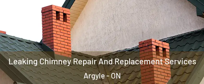  Leaking Chimney Repair And Replacement Services Argyle - ON