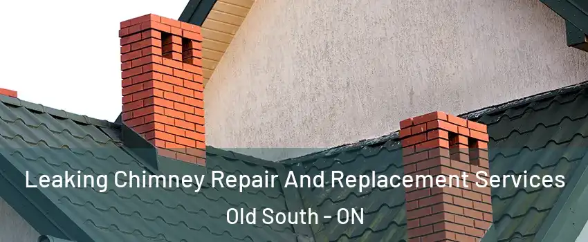  Leaking Chimney Repair And Replacement Services Old South - ON
