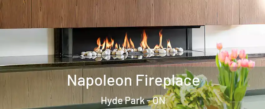  Napoleon Fireplace Hyde Park - ON