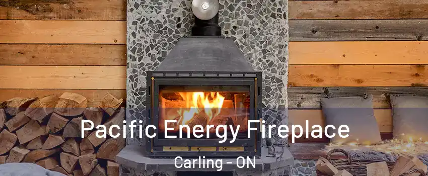  Pacific Energy Fireplace Carling - ON