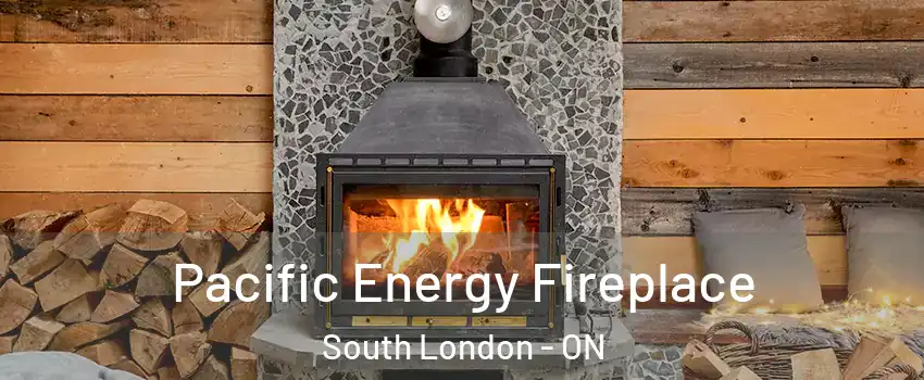  Pacific Energy Fireplace South London - ON