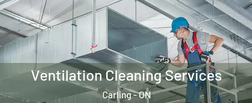  Ventilation Cleaning Services Carling - ON