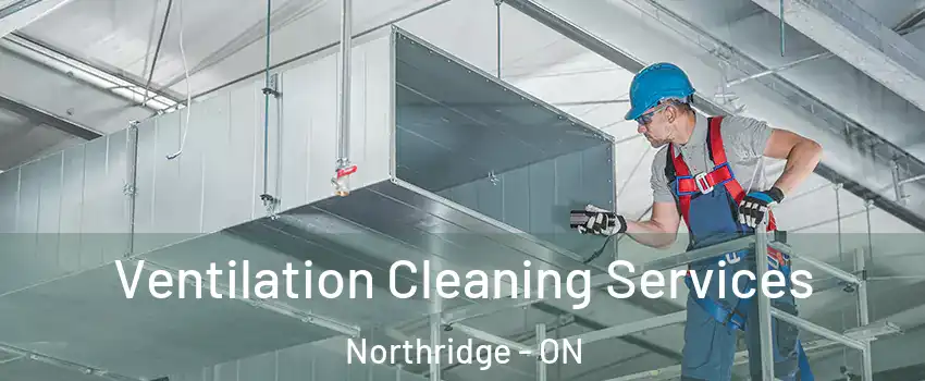  Ventilation Cleaning Services Northridge - ON