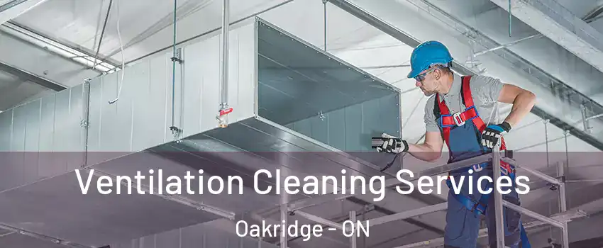  Ventilation Cleaning Services Oakridge - ON