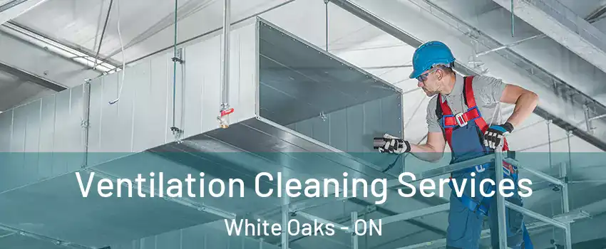  Ventilation Cleaning Services White Oaks - ON