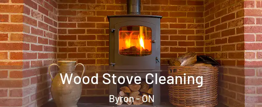  Wood Stove Cleaning Byron - ON