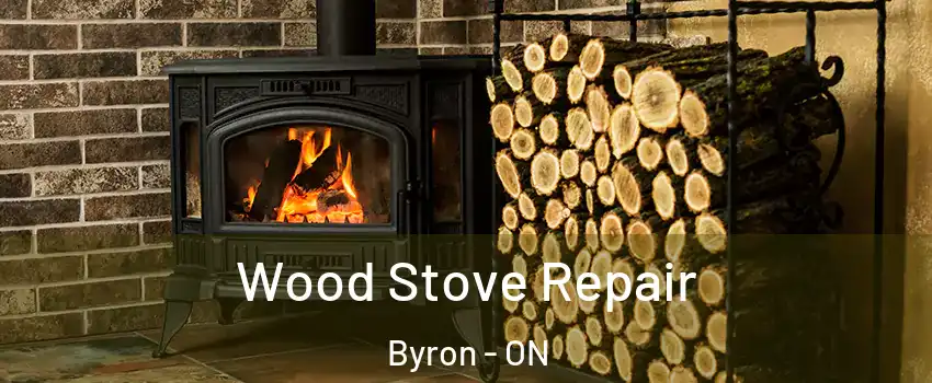  Wood Stove Repair Byron - ON